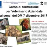 Corso Form. VET AZ