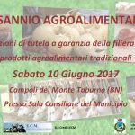 sannio-agroalimentare